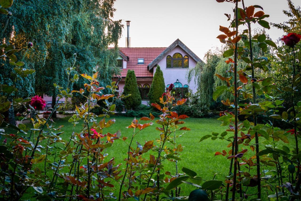 Bed and Breakfast Daiconi Boutique House Minis Exterior foto